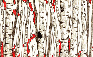 Acuarela para adolescentes